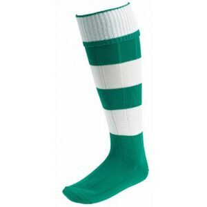 Carta Sport Mens Euro Socks / White/Emerald Green